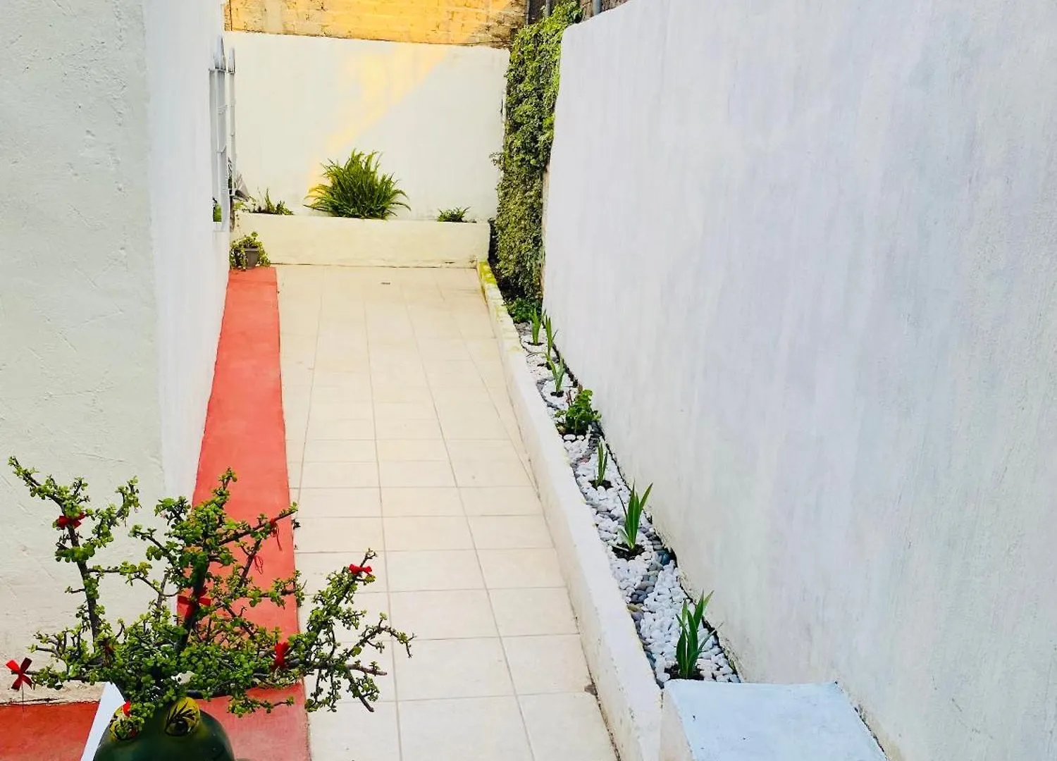 Casa Victoria Daire Guadalajara Meksika