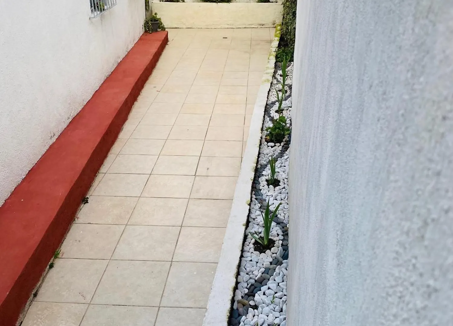 Casa Victoria Daire Guadalajara Meksika